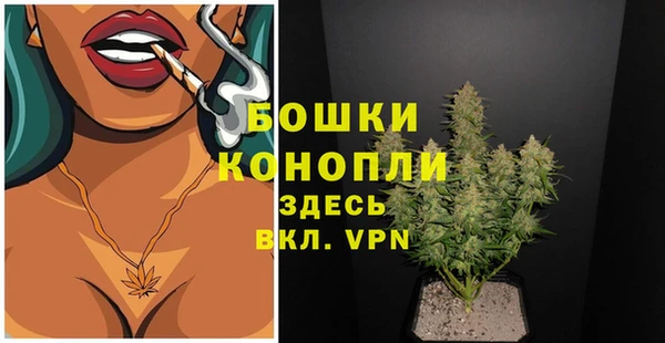 эйфоретик Богданович