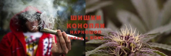 прущий лед Белокуриха