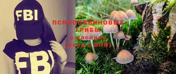 эйфоретик Богданович